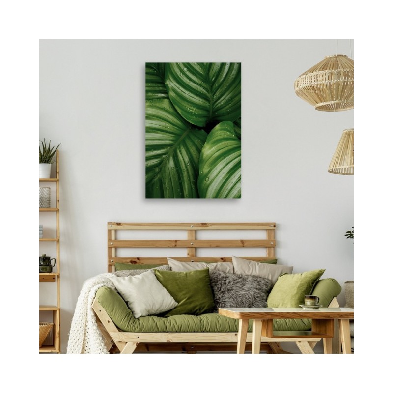 Leinwandbild - Tautropfen auf den Blättern | Feeby