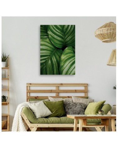 Leinwandbild - Tautropfen auf den Blättern | Feeby