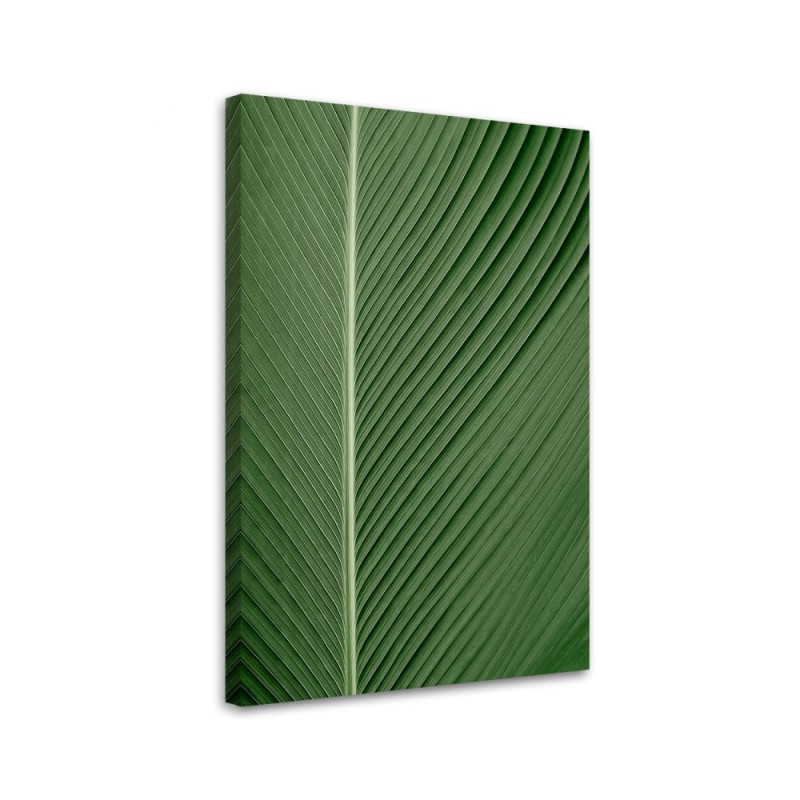 Leinwandbild modern - Bananenblatt im Makromaßstab | Feeby
