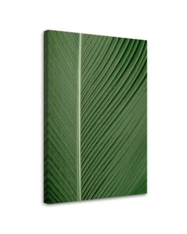 Leinwandbild modern - Bananenblatt im Makromaßstab | Feeby