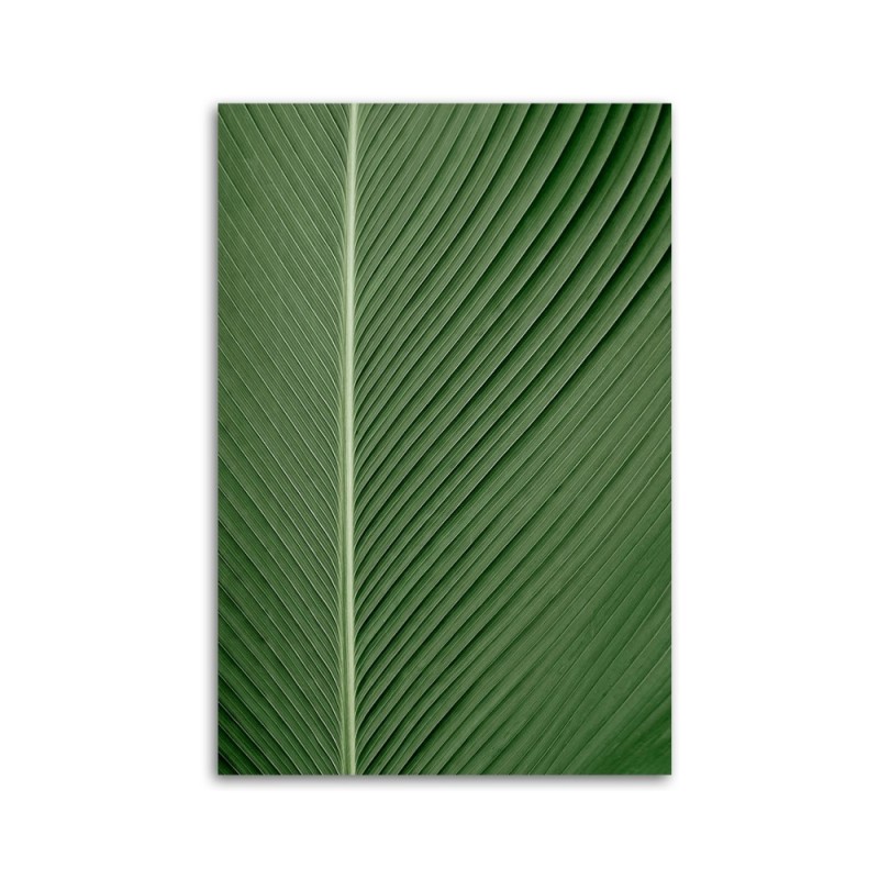 Leinwandbild modern - Bananenblatt im Makromaßstab | Feeby