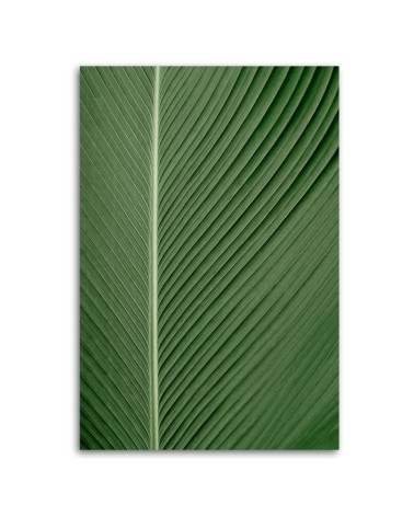 Leinwandbild modern - Bananenblatt im Makromaßstab | Feeby