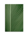 Canvas painting - Banana leaf on a macro scale | FEEBY