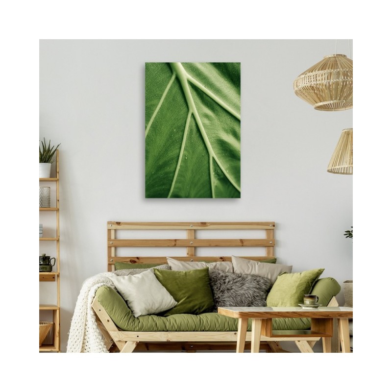 Bild auf Leinwand - Tautropfen auf dem Blatt im Makro | Feeby