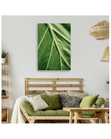 Bild auf Leinwand - Tautropfen auf dem Blatt im Makro | Feeby