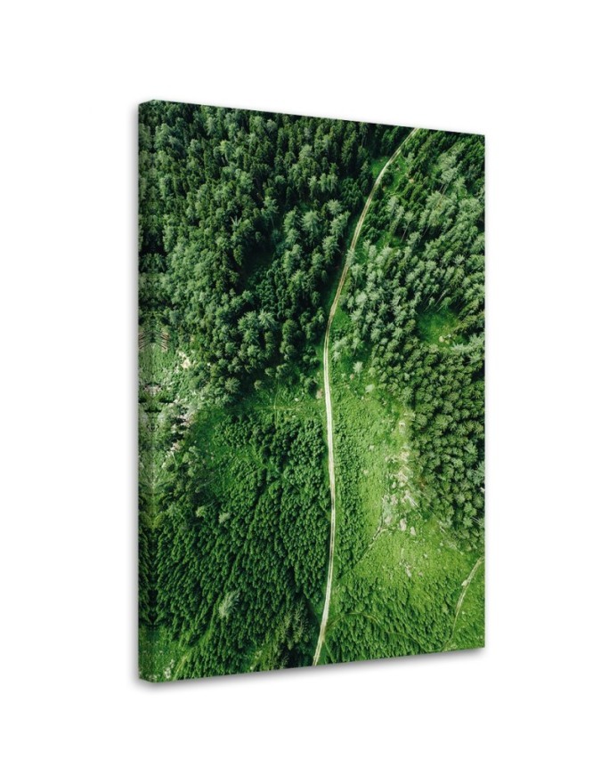 Leinwandbild - Weg durch grünen Wald | Feeby