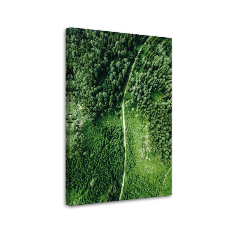 Leinwandbild - Weg durch grünen Wald | Feeby