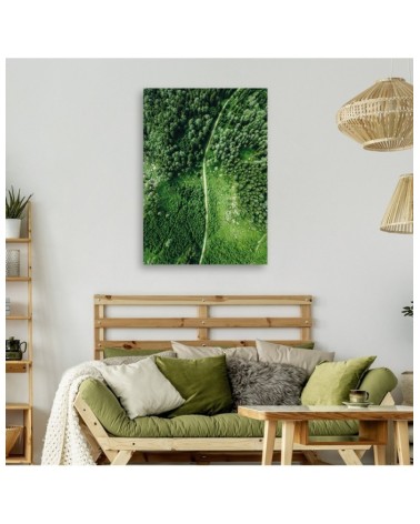 Leinwandbild - Weg durch grünen Wald | Feeby