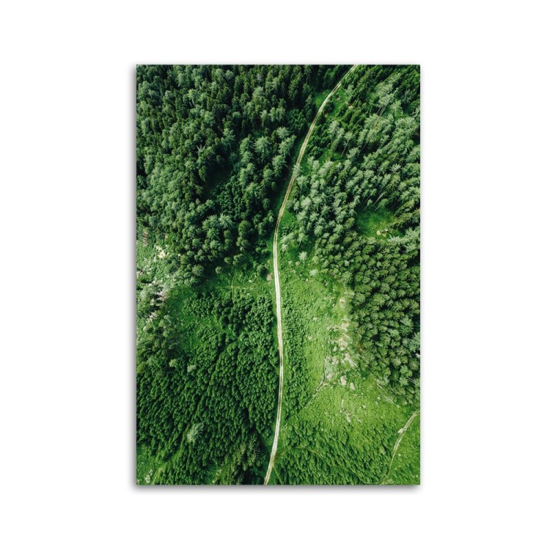 Leinwandbild - Weg durch grünen Wald | Feeby