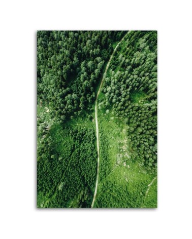 Leinwandbild - Weg durch grünen Wald | Feeby