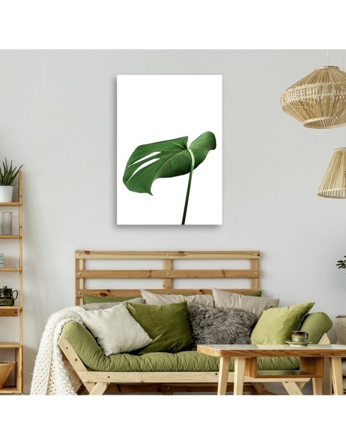 Obraz na płótnie - Monstera liść roślina | FEEBY