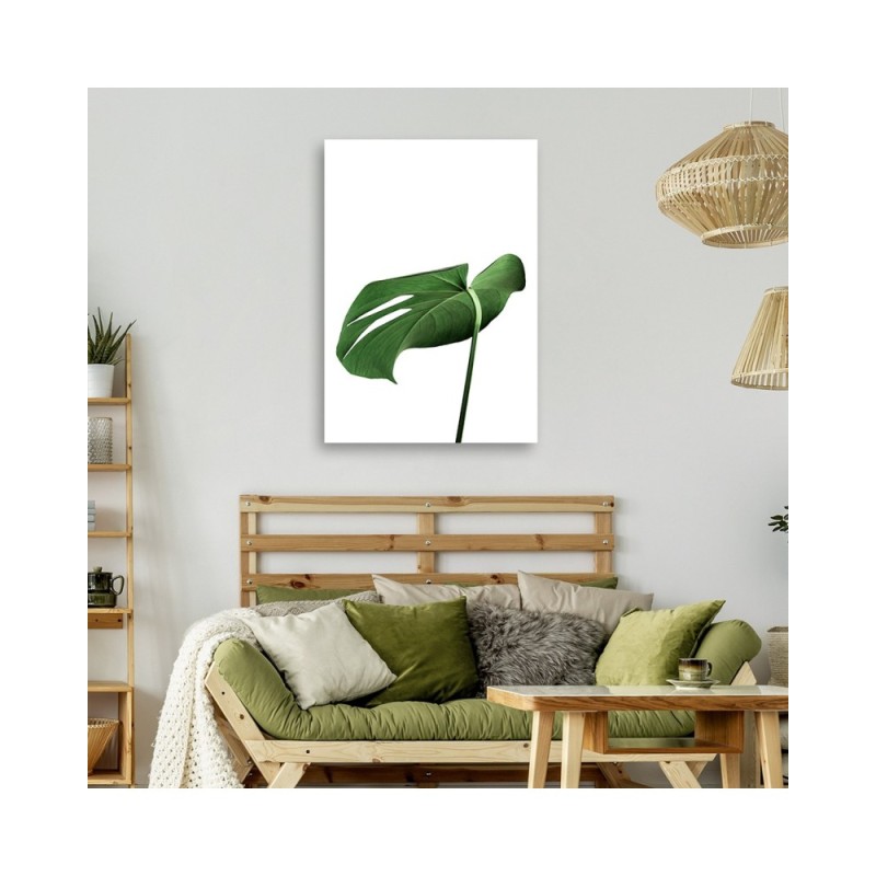Leinwanddruck - Monstera Blatt Pflanze | Feeby