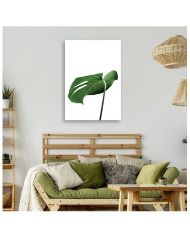 Leinwanddruck - Monstera Blatt Pflanze | Feeby