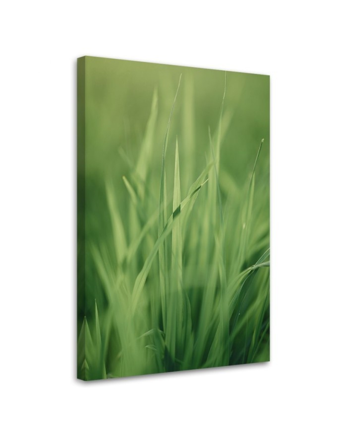 Canvas painting - Grass stem | FEEBY