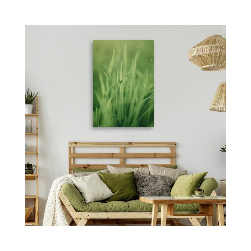Bild auf Leinwand - Grashalm | Feeby