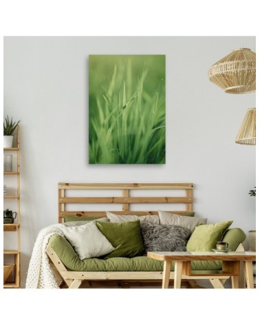 Bild auf Leinwand - Grashalm | Feeby