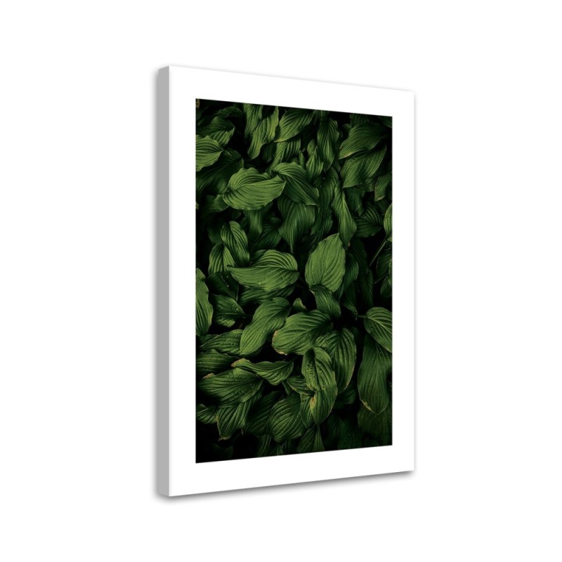 Modernes Wandbild - Dunkelgrüne Blätter | Feeby