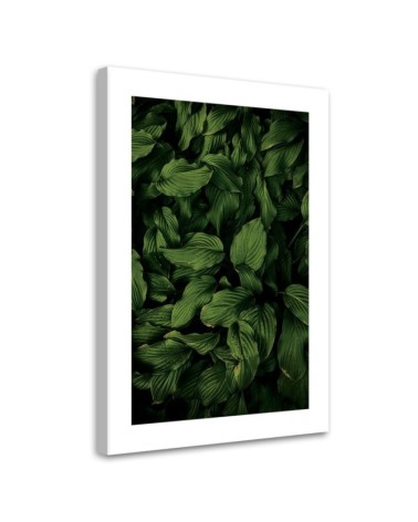 Modernes Wandbild - Dunkelgrüne Blätter | Feeby