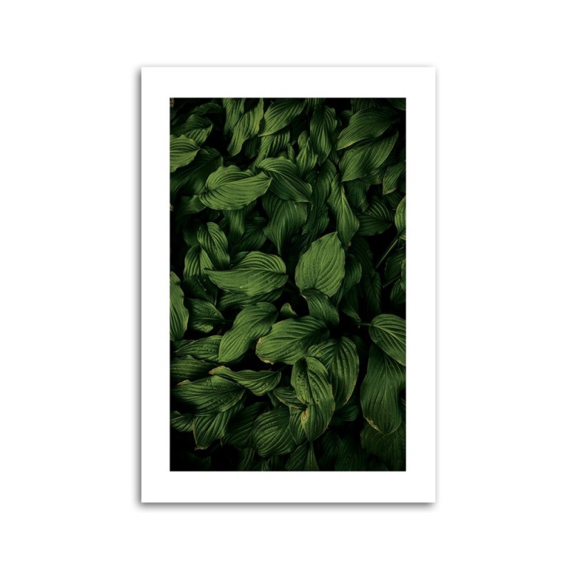 Modernes Wandbild - Dunkelgrüne Blätter | Feeby