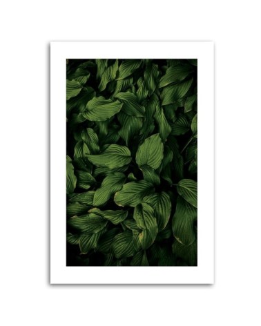 Modernes Wandbild - Dunkelgrüne Blätter | Feeby