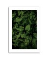 Canvas painting - Dark green leaves | FEEBY