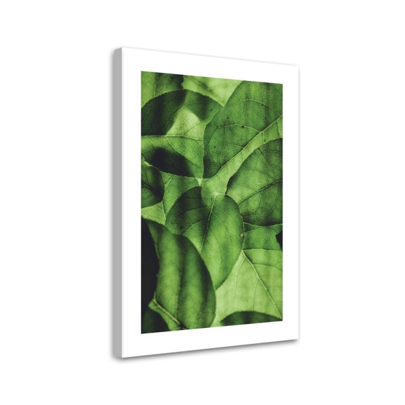 Leinwandbild - Grüne Blätter im Makromaßstab | Feeby