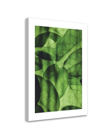 Leinwandbild - Grüne Blätter im Makromaßstab | Feeby