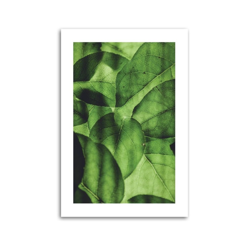 Leinwandbild - Grüne Blätter im Makromaßstab | Feeby