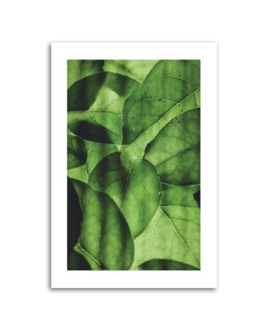 Leinwandbild - Grüne Blätter im Makromaßstab | Feeby