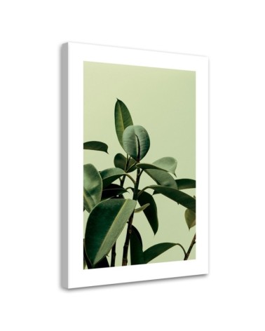 Dekoratives Leinwandbild - Grünpflanze Natur | Feeby