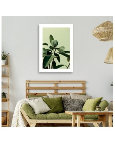Dekoratives Leinwandbild - Grünpflanze Natur | Feeby