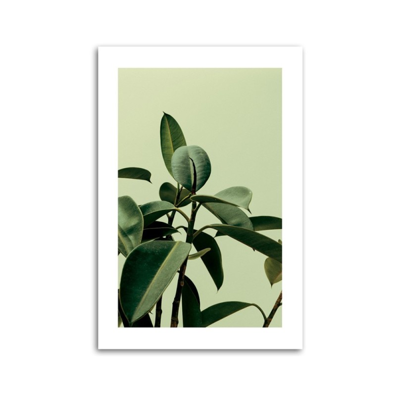 Dekoratives Leinwandbild - Grünpflanze Natur | Feeby