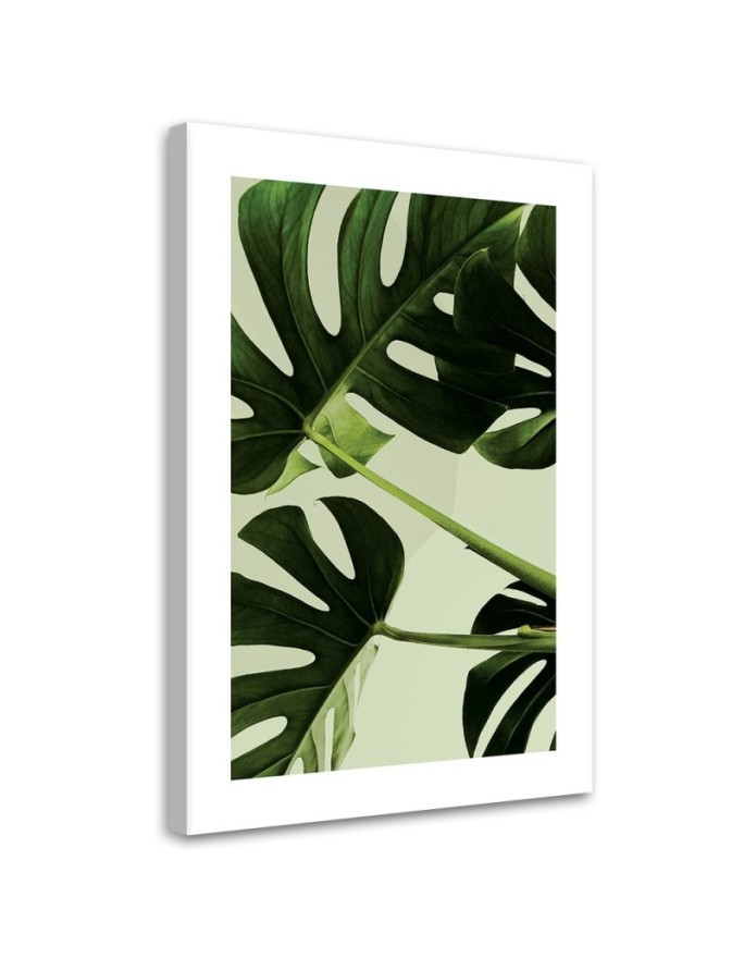 Modernes Wandbild - Grüne monstera Blätter | Feeby