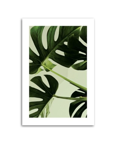 Modernes Wandbild - Grüne monstera Blätter | Feeby