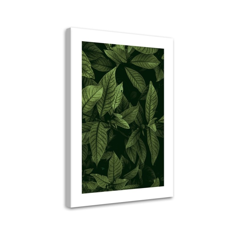 Wandbild für Wohnzimmer - Grüne Blätter | Feeby