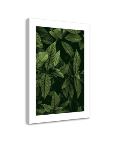 Wandbild für Wohnzimmer - Grüne Blätter | Feeby