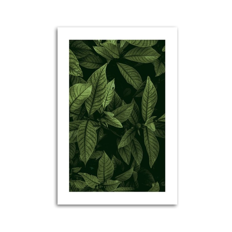 Wandbild für Wohnzimmer - Grüne Blätter | Feeby