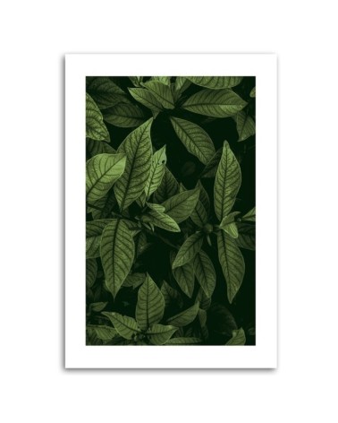 Wandbild für Wohnzimmer - Grüne Blätter | Feeby