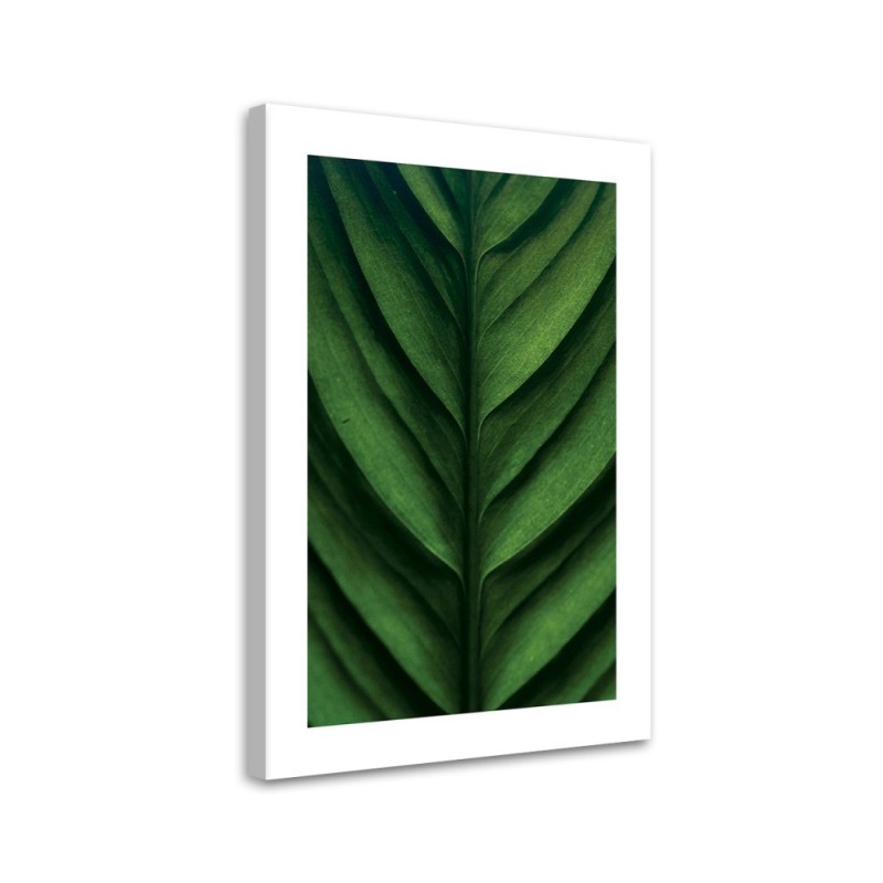 Leinwandbild - Grünes Blatt Makro | Feeby