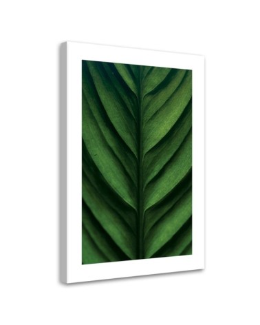 Canvas painting - Green macro-leaf | FEEBY