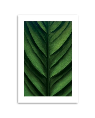 Leinwandbild - Grünes Blatt Makro | Feeby