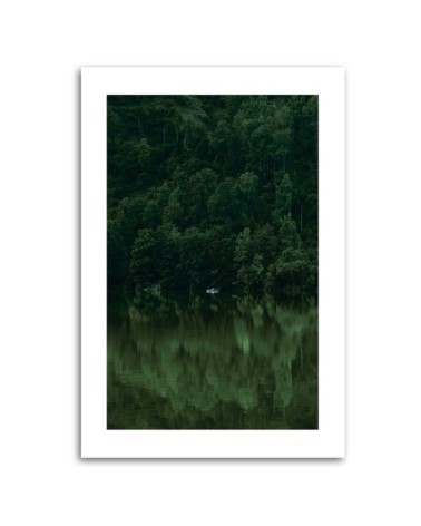 Bild auf Leinwand - Grüner Wald am See | Feeby