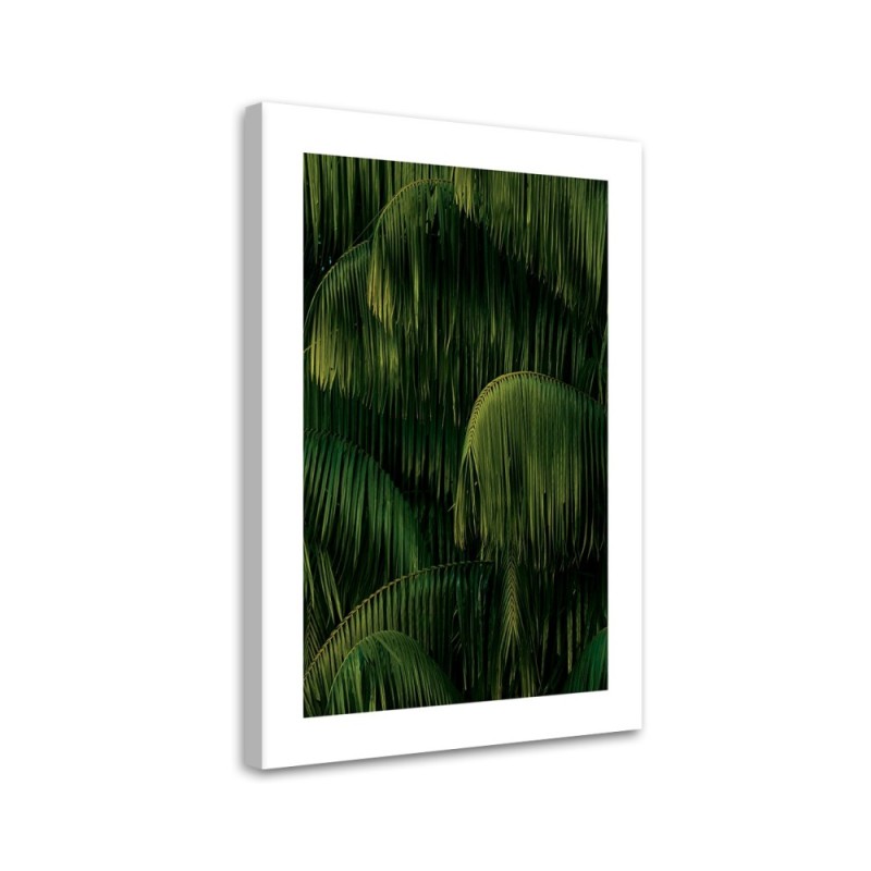 Leinwandbild - Palmen nach dem Regen | Feeby