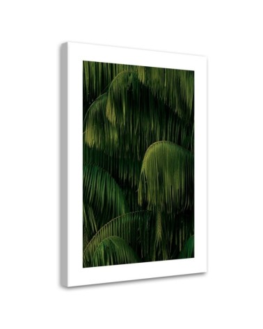 Leinwandbild - Palmen nach dem Regen | Feeby