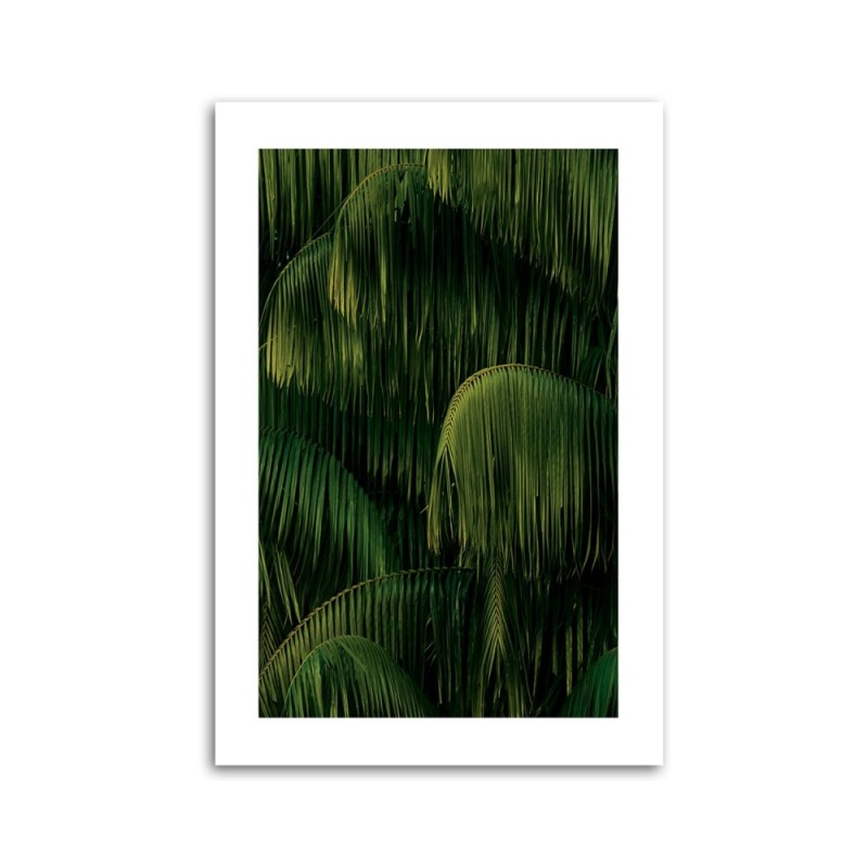 Leinwandbild - Palmen nach dem Regen | Feeby
