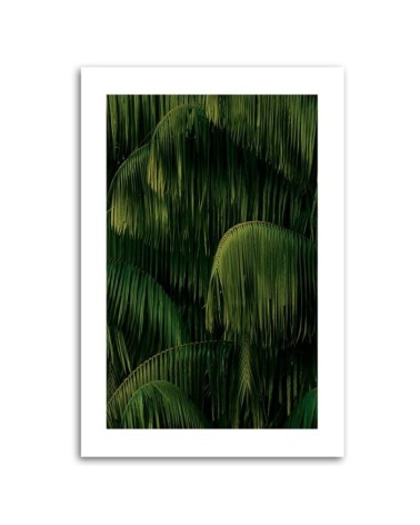 Leinwandbild - Palmen nach dem Regen | Feeby