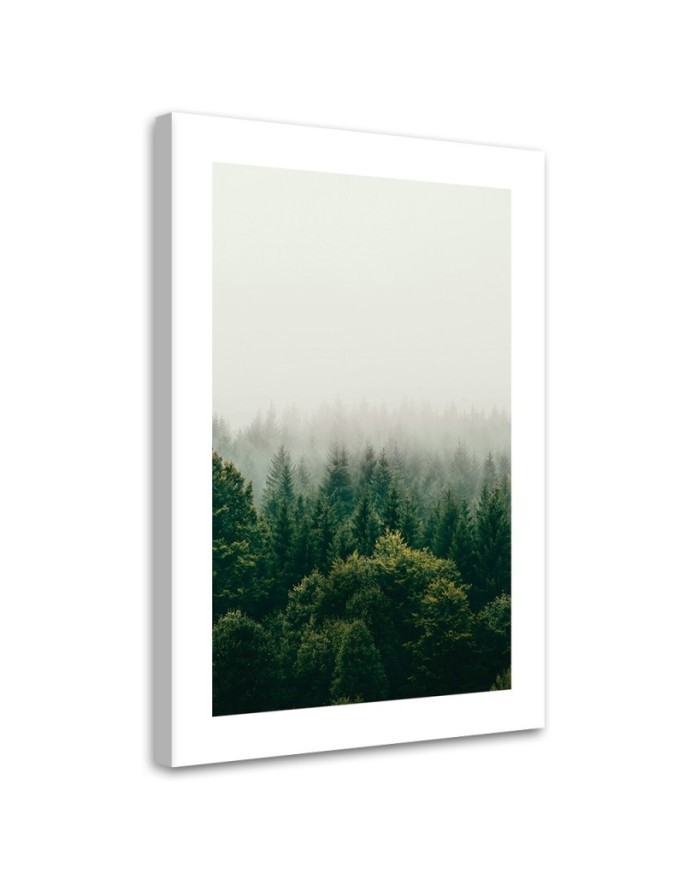 Bild auf Leinwand - Grüner Wald im Nebel | Feeby