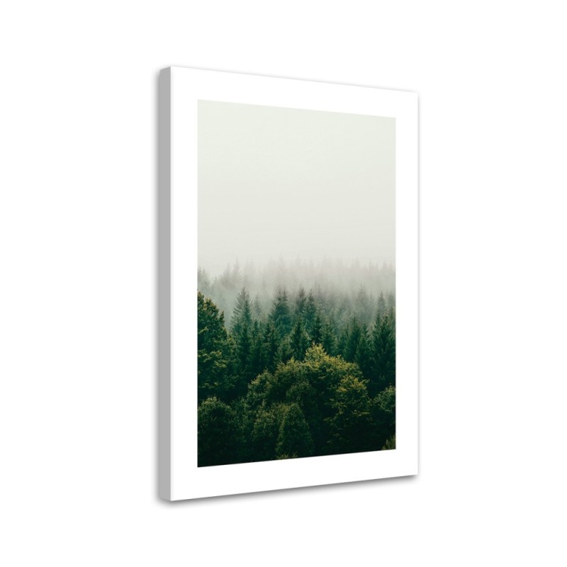Bild auf Leinwand - Grüner Wald im Nebel | Feeby