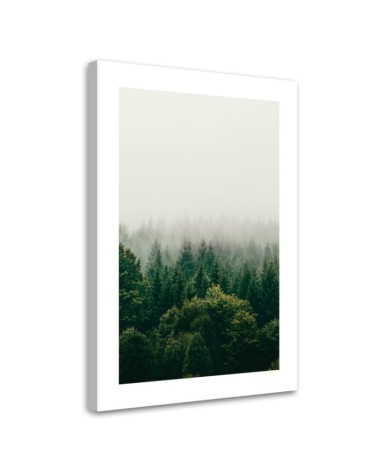 Bild auf Leinwand - Grüner Wald im Nebel | Feeby