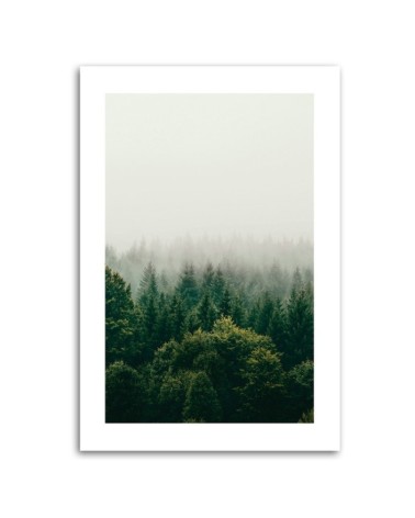 Bild auf Leinwand - Grüner Wald im Nebel | Feeby